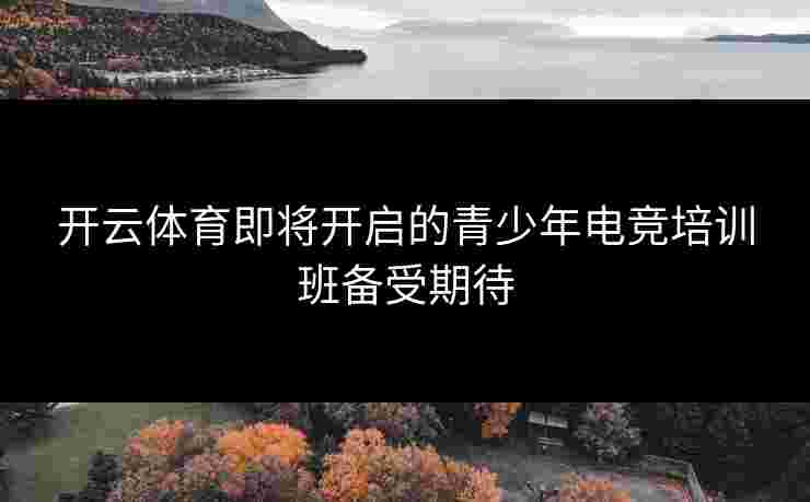 开云体育即将开启的青少年电竞培训班备受期待