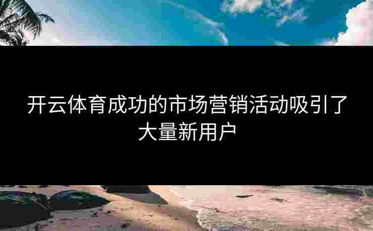 开云体育成功的市场营销活动吸引了大量新用户