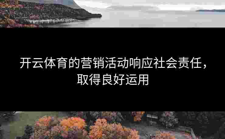 开云体育的营销活动响应社会责任，取得良好运用