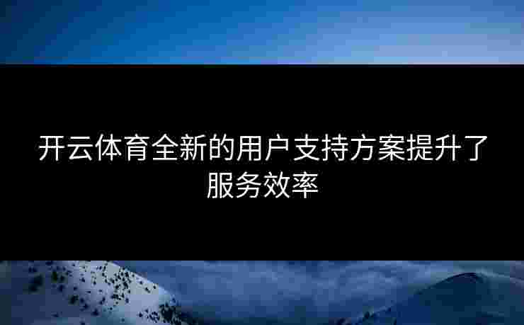 开云体育全新的用户支持方案提升了服务效率